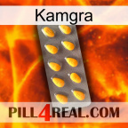 Kamgra cialis1